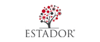 Estador logo